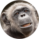 Wojcik Warriors profile picture